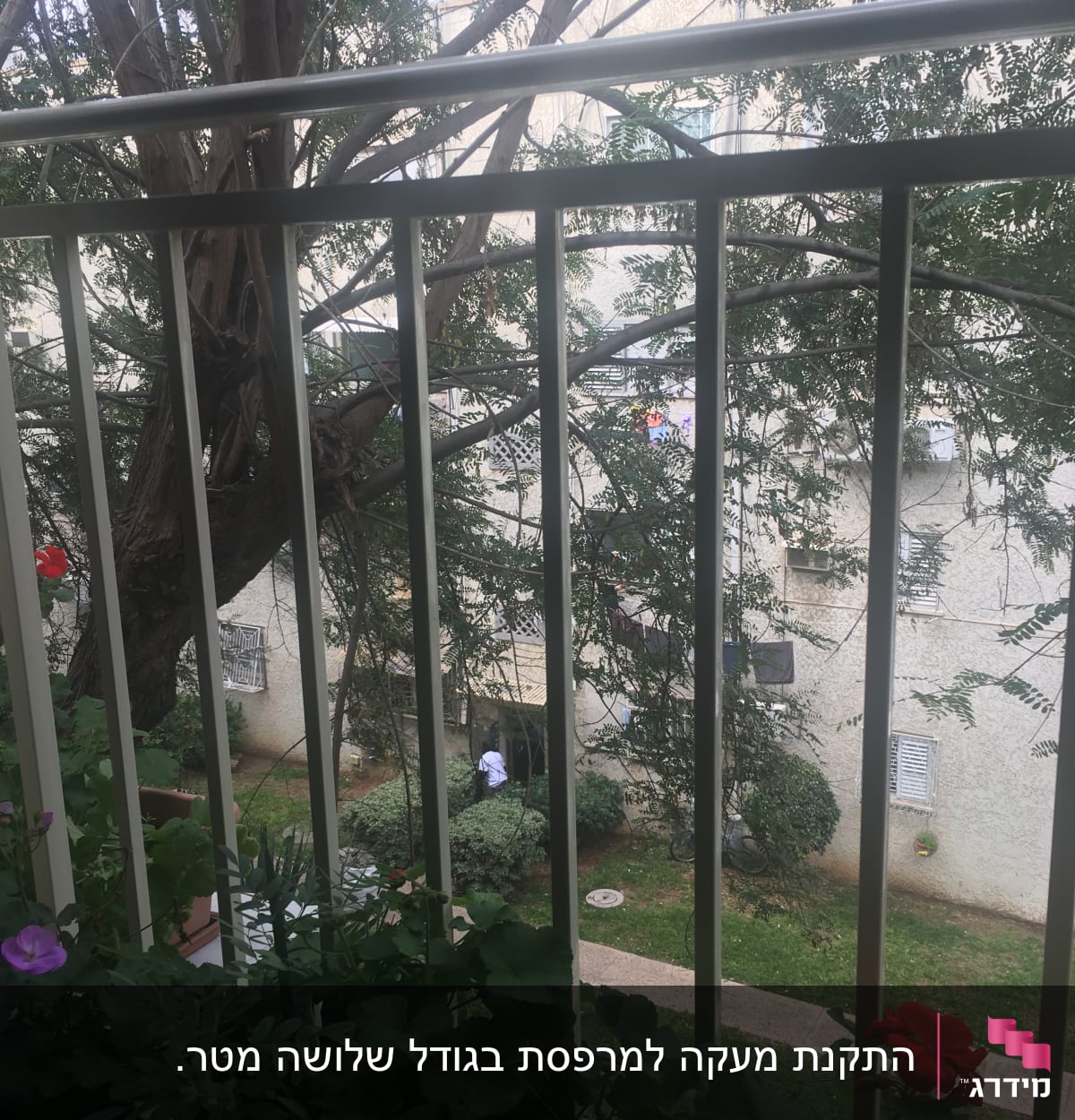 מעקה ברזל עם צמחייה ופרחים על אדן החלון